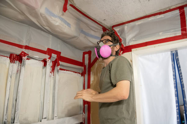 Best Crawl Space Mold Remediation  in Black Hammock, FL